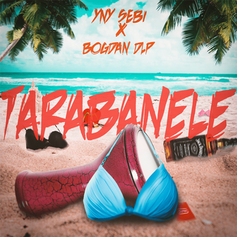 Tarabanele - Bogdan DLP (feat. YNY Sebi)